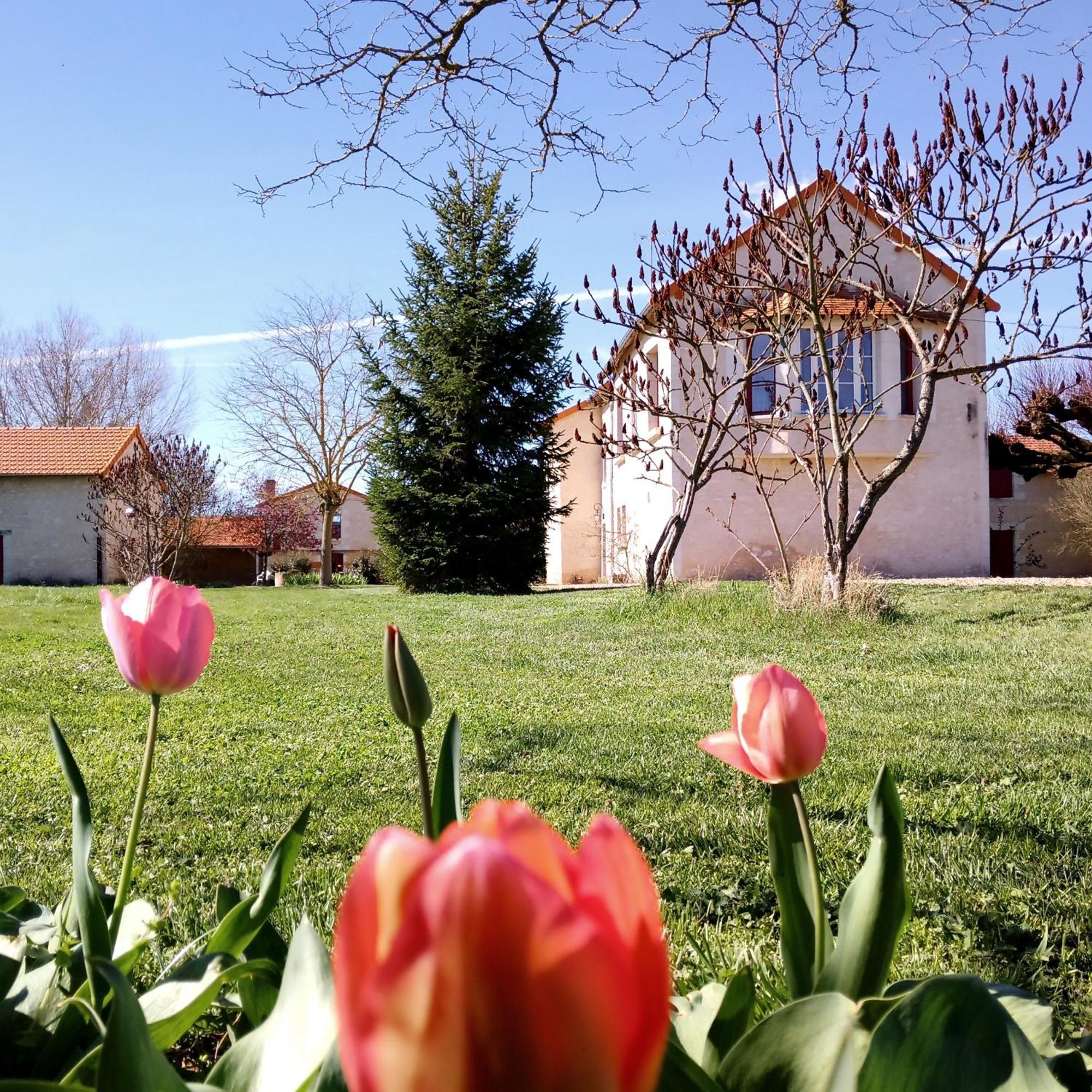 Villa Au Repos Des Elfes Braye-sous-Faye Exterior foto